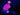 application_scenarios_-_bird_watching