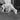 gtguard_ai15_color_modes_-_white_hot