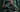 Military-Grade Night Vision Goggle Maintenance Guide - Professional Technical Manual 2025