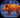 Best Thermal Scopes for Hog Hunting at Night (2026 Guide)