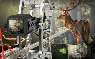 How to Read Deer Sign in Early Season: Rubs, Scrapes, and Trails Decoded