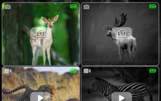Digital vs Analog Night Vision Differences - Technology Comparison Guide
