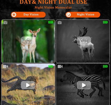 Digital vs Analog Night Vision Differences - Technology Comparison Guide