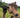 Advanced Night Vision Applications in Law Enforcement Operations