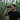 Infrared Night Vision Goggles Battery Life Optimization: Professional Methods to Extend Usage Time