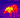Advanced Thermal Scope Technology for Professional Wildlife Tracking in 2025