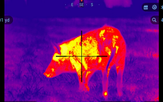 Advanced Thermal Scope Technology for Professional Wildlife Tracking in 2025