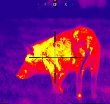 Advanced Thermal Scope Technology for Professional Wildlife Tracking in 2025