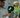 A New Diagnostic Tool for Veterinarians: Breakthroughs in Thermal Imaging for Animal Healthcare