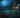 What Animals Come Out at Night in Your Backyard?