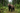 Bear Hunting in the Baits: How to Use Thermal Imaging Optics to Monitor an Active Bear Bait Station