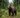 Bear Hunting in the Baits: How to Use Thermal Imaging Optics to Monitor an Active Bear Bait Station