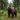 Bear Hunting in the Baits: How to Use Thermal Imaging Optics to Monitor an Active Bear Bait Station