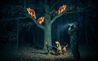 Best Thermal Imaging for Coon Hunting with Dogs (2026 Guide)