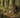How to Find a Buck’s Bedding Area in October, Without Bumping Him Out