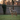 5 Signs a Coyote Has Been in Your Yard — Spot Them with Thermal