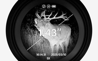 Best Thermal Monocular for Hunting in 2024