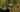 Advanced Thermal Scope Technology for Professional Wildlife Tracking in 2025