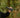 Advanced Thermal Scope Technology for Professional Wildlife Tracking in 2025