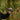 Advanced Thermal Scope Technology for Professional Wildlife Tracking in 2025