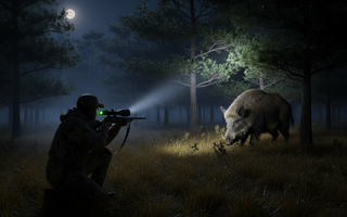 Hog Hunting at Night: Thermal vs. Night Vision — Which Wins?