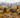 The Hardest Hunt Isn’t the Terrain: A Late-October Mule Deer Story With the ClearView X650L