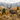 The Hardest Hunt Isn’t the Terrain: A Late-October Mule Deer Story With the ClearView X650L