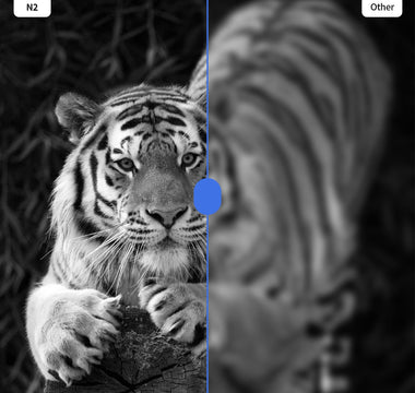 Wildlife Photography Optics: Capturing Nature's Hidden Moments