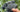 Complete Night Vision Goggle Buying Guide: GTGUARD N4 vs. Competitors 2025