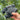 Complete Night Vision Goggle Buying Guide: GTGUARD N4 vs. Competitors 2025
