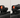 Red Dot vs Magnifier – Which Optic Setup Is Right for You?