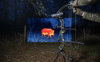 Thermal Bow Hunting for Hogs: The Complete Guide to Night Hunting with Thermal-Equipped Crossbows and Compound Bows