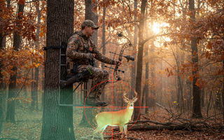 Thermal Bow Sights for Deer Hunting: Ethics, Tactics, and Shot Selection
