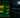 Thermal Scope for Predator Hunting: Complete Species Guide & Tactics