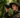 How to Choose Your First Thermal Monocular: A Step-by-Step Buyer's Guide for Beginners