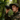 How to Choose Your First Thermal Monocular: A Step-by-Step Buyer's Guide for Beginners