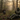 Turkey Hunting in Fall: Why October Is the Season Most Hunters Sleep On