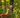 What Deer Can Actually Smell: The Science of Scent and Why It Changes Your Strategy