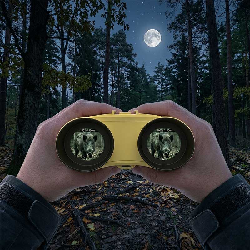 320 × 320 Resolution NVGS