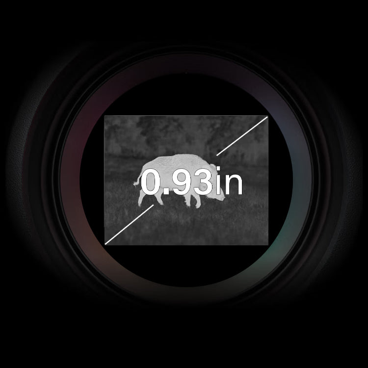 1024×768 OLED Display