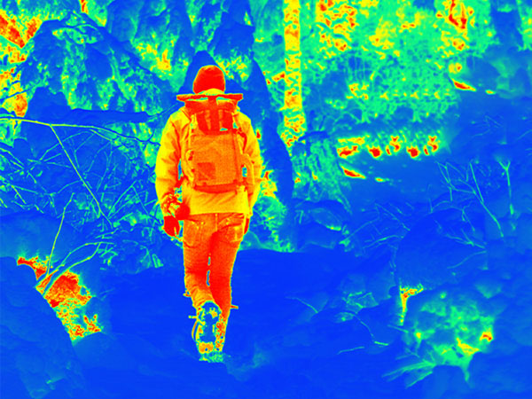gtguard_application_scenarios_-_rainforest
