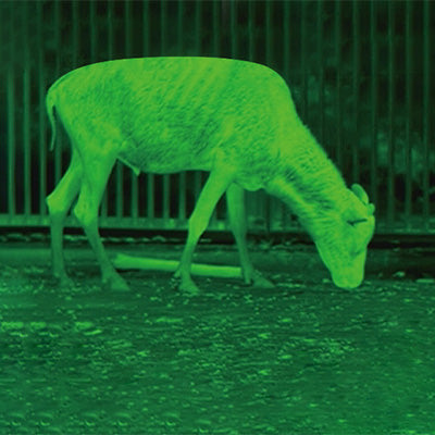 thermal camera color modes green hot