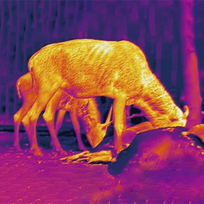 thermal camera color modes iron hot