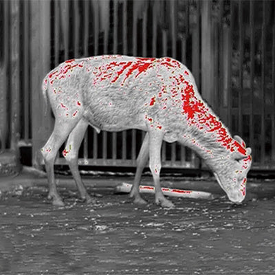 thermal camera color_modes_-_red_hot