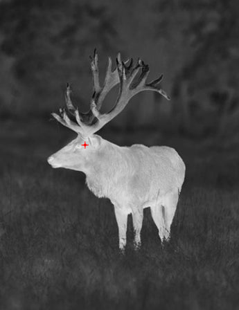 gtmedia_hawkeye_ai15_thermal_hot_spot_marking