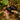 gtguard_hawkeye_ai15_thermal_imaging-4