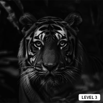 level 3