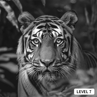 level 7